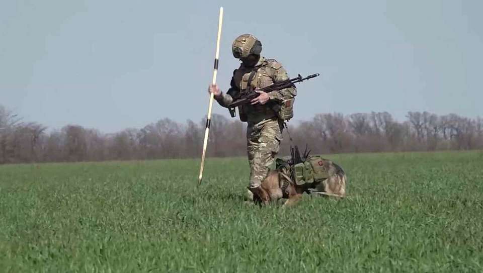 Какие льготы и выплаты в Воронежской области смогут получить бойцы СВО