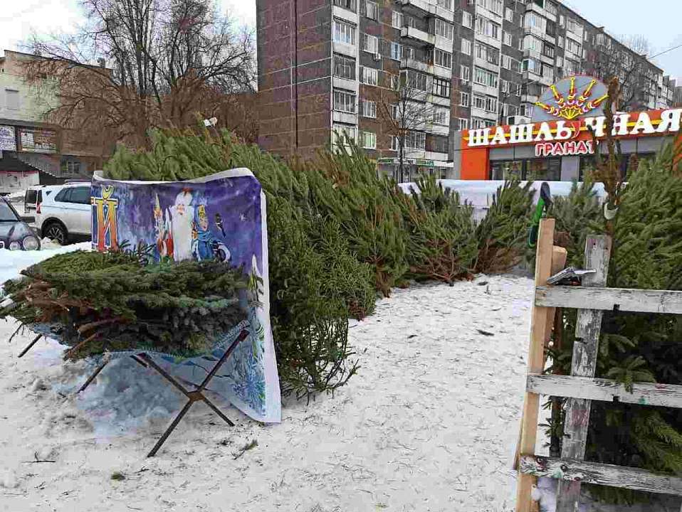 Ёлочные базары заработали в Воронеже