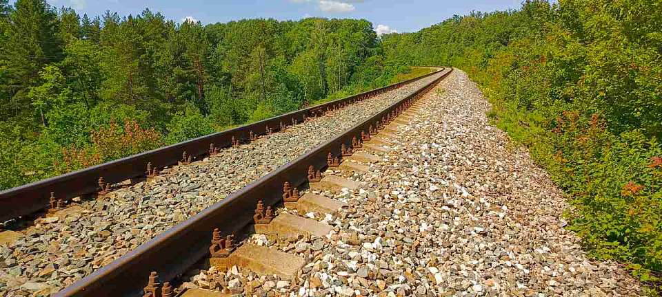 Экскурсионные поезда перевезли в воронежское Дивногорье более 8 тысяч пассажиров