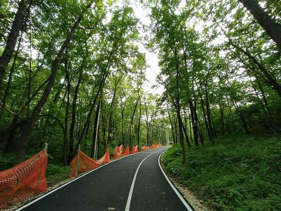 На бесплатные мероприятия в городских парках 28 октября пригласили воронежцев