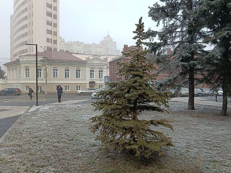 Снег и метель прогнозируют синоптики в Воронежской области в субботу, 13 декабря