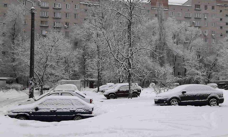 В Воронежской области прогнозируют сильный, мокрый снег, метель и мощный ветер