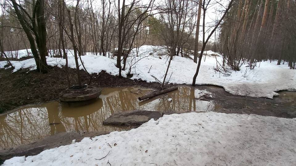 Воронежские экологи подтвердили излив канализации в Северном лесу