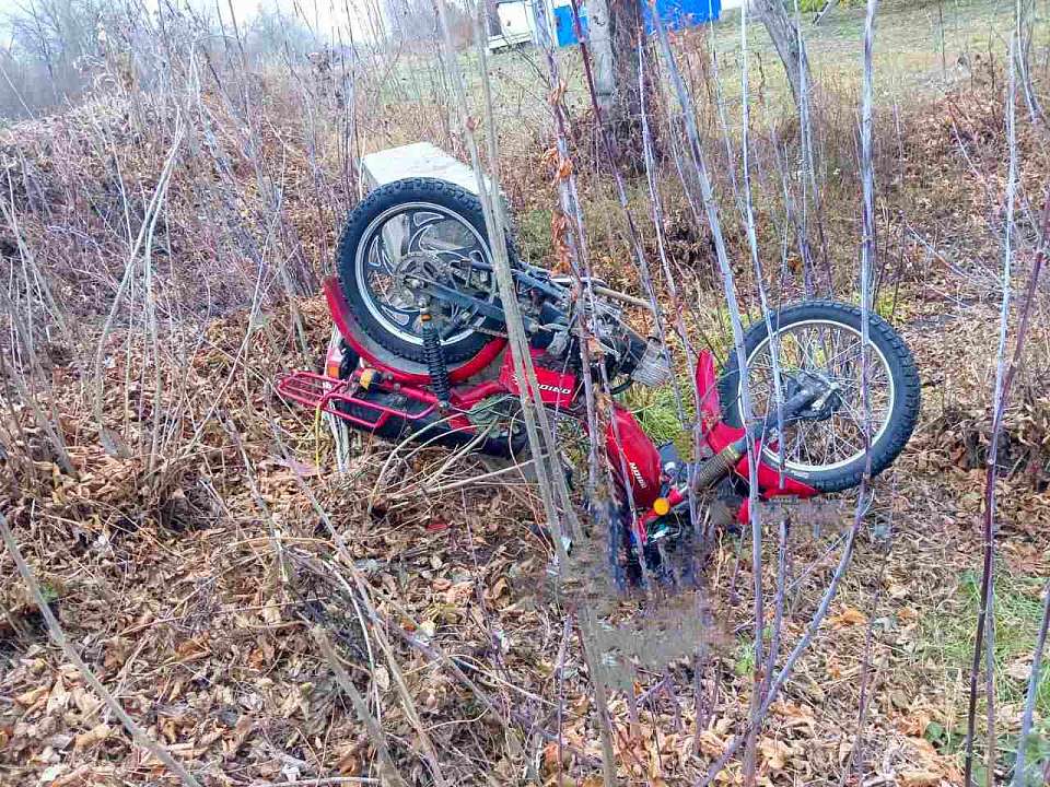 Водитель мопеда погиб на воронежской трассе