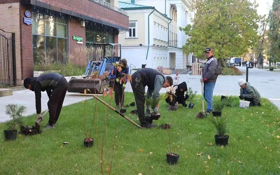 К масштабному озеленению приступили в центре Воронежа
