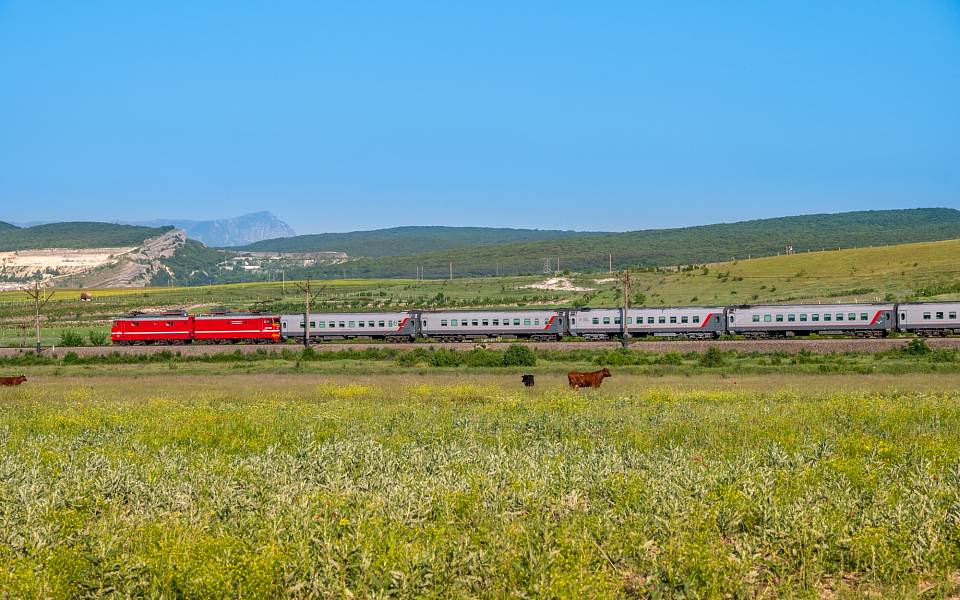 Очередной дополнительный поезд в Крым запустят через Воронеж с 1 июля
