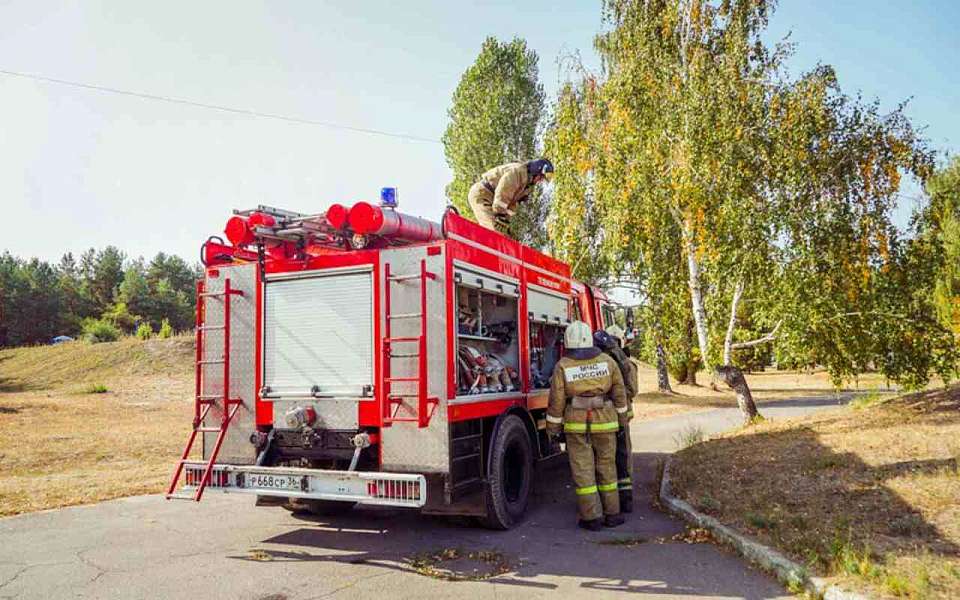 Особый противопожарный режим ввели в районе Воронежской области