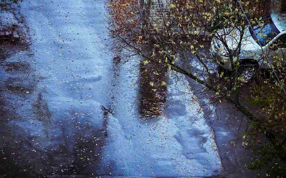 Резко похолодает после дождей к концу недели в Воронежской области