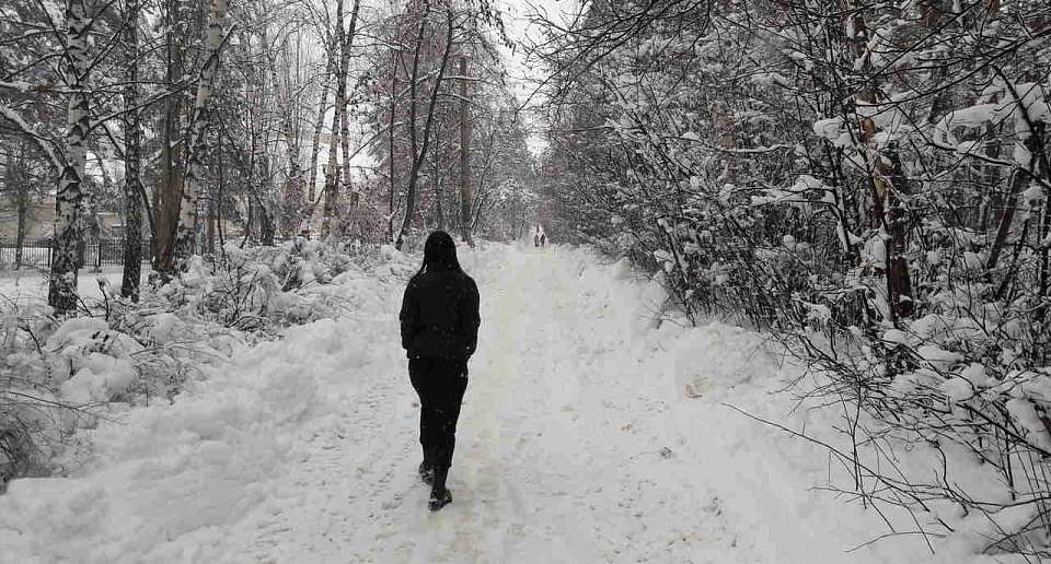 Суд ждёт избившего 13-летнего мальчика в Романовском сквере воронежца