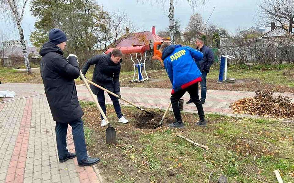 Вандалы разрушили аллею Жириновского в Воронеже