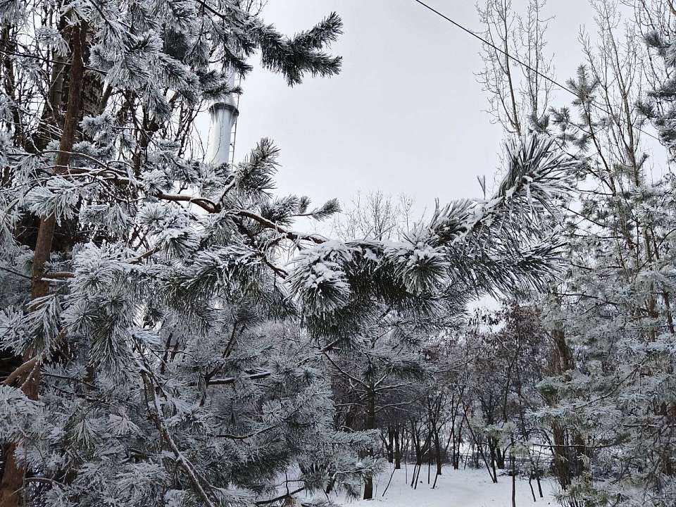 Цены на билеты в музеи повысились в Воронежском биосферном заповеднике
