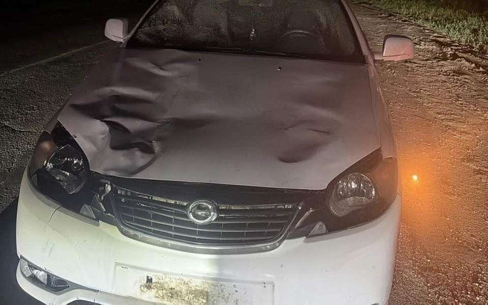 Неизвестный мужчина погиб ночью на трассе под Воронежем