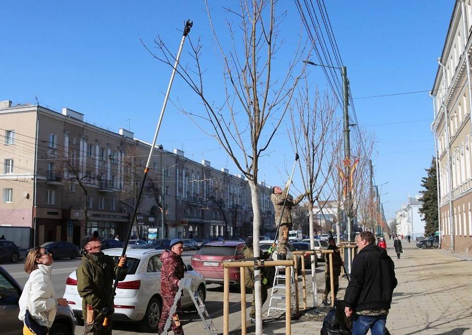 Проспект Революции в Воронеже продолжат обновлять клёнами, светильниками и люками