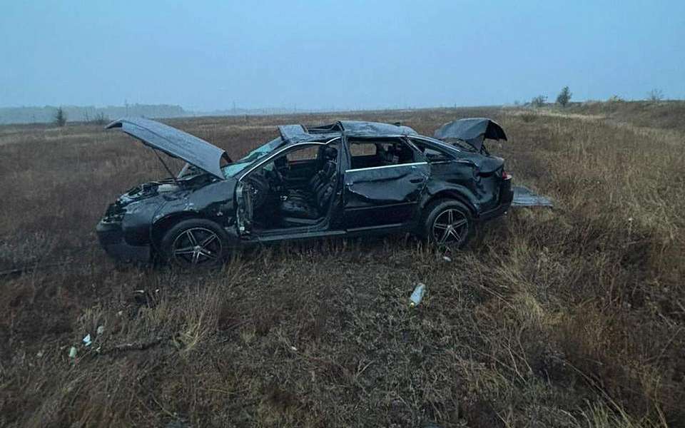 Водитель и пассажир Audi разбились насмерть на воронежской трассе