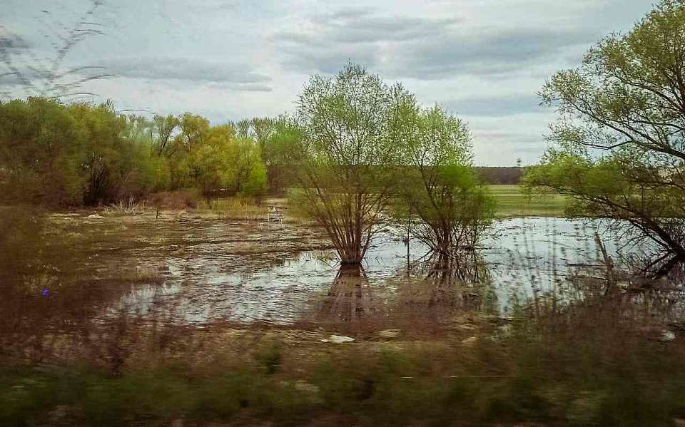 С внезапным паводковым затоплением дворов борются в Воронежской области