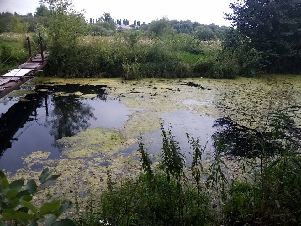 В Воронеже сточные воды в Масловский затон сливали сельхозкомпания и жилые дома 