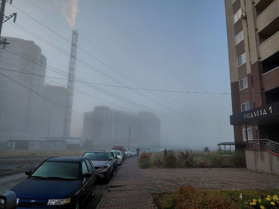 Что будет в Воронеже 11 декабря. Сойкин день. Международный день гор. Возвращение тумана. Отключение воды на 10 улицах