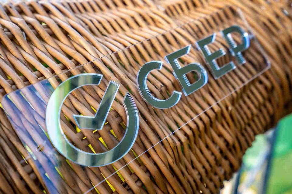 В 2025 году мошенники чаще всего звонили Александрам и Еленам: сервис Сбера «Определитель номера» проверил миллиард звонков