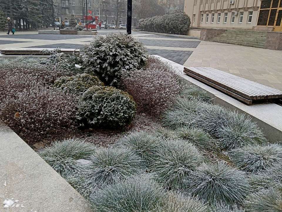 Морозная погода ожидает воронежцев в воскресенье, 14 декабря 