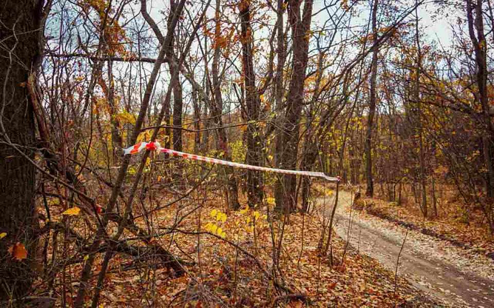 Пропали 36 человек в Воронежской области