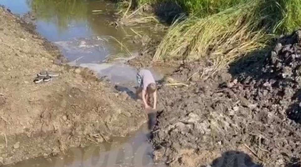 На видео попало, как воронежцы сносят самодельную дамбу