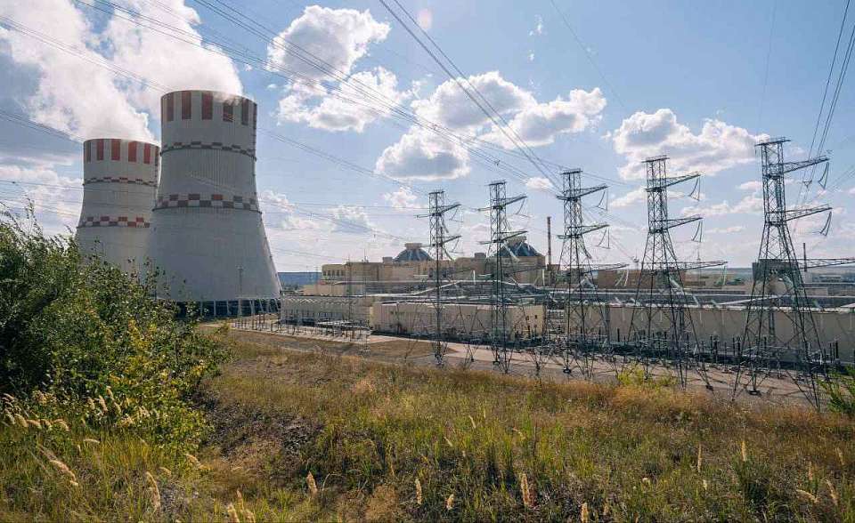 Житель Пензы ответит за ложное сообщение о минировании Нововоронежской АЭС