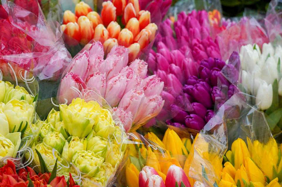 В мэрии Воронежа рассказали, где приобретать цветочную продукцию в преддверии 8 Марта