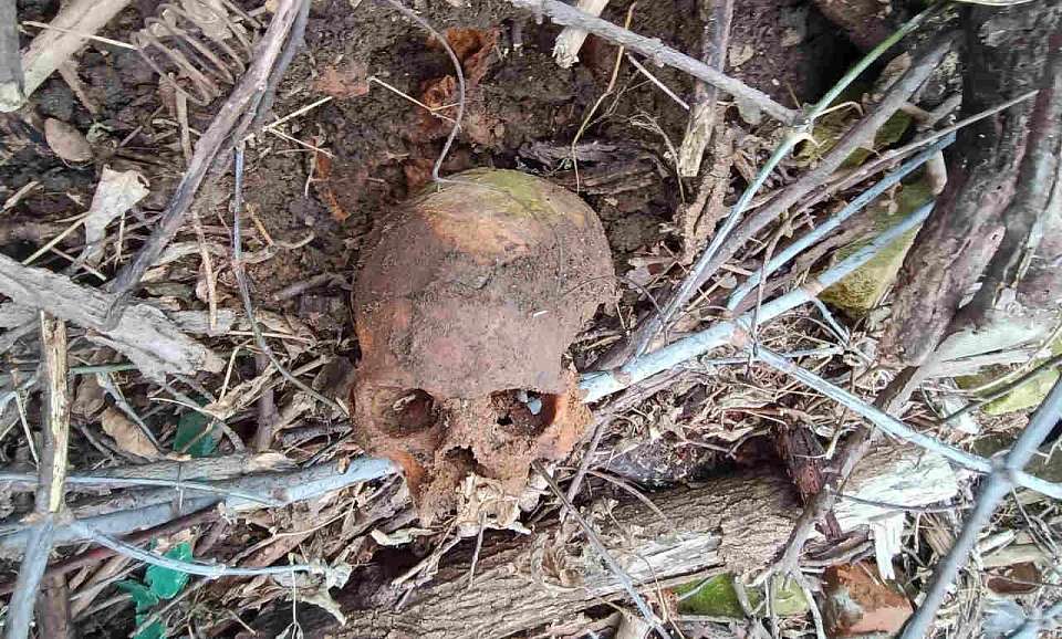 Жительница Воронежа нашла человеческий череп во время прогулки