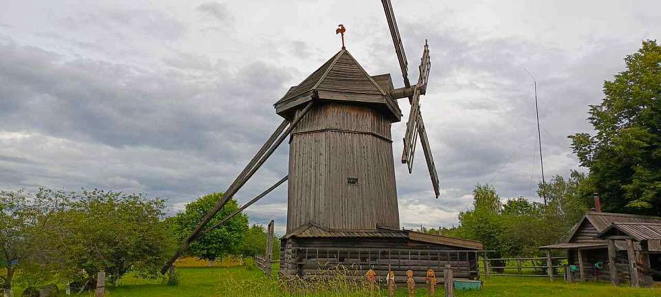 Порядка 602 тыс. тонн опасного зерна обнаружили в Воронежской области