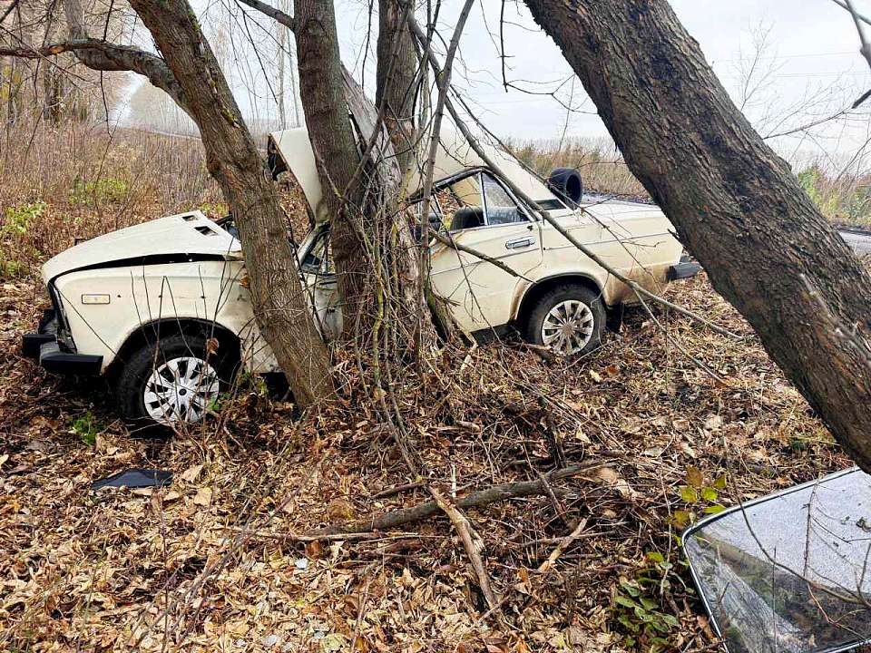 Парень на «Жигулях» врезался в дерево в Воронежской области