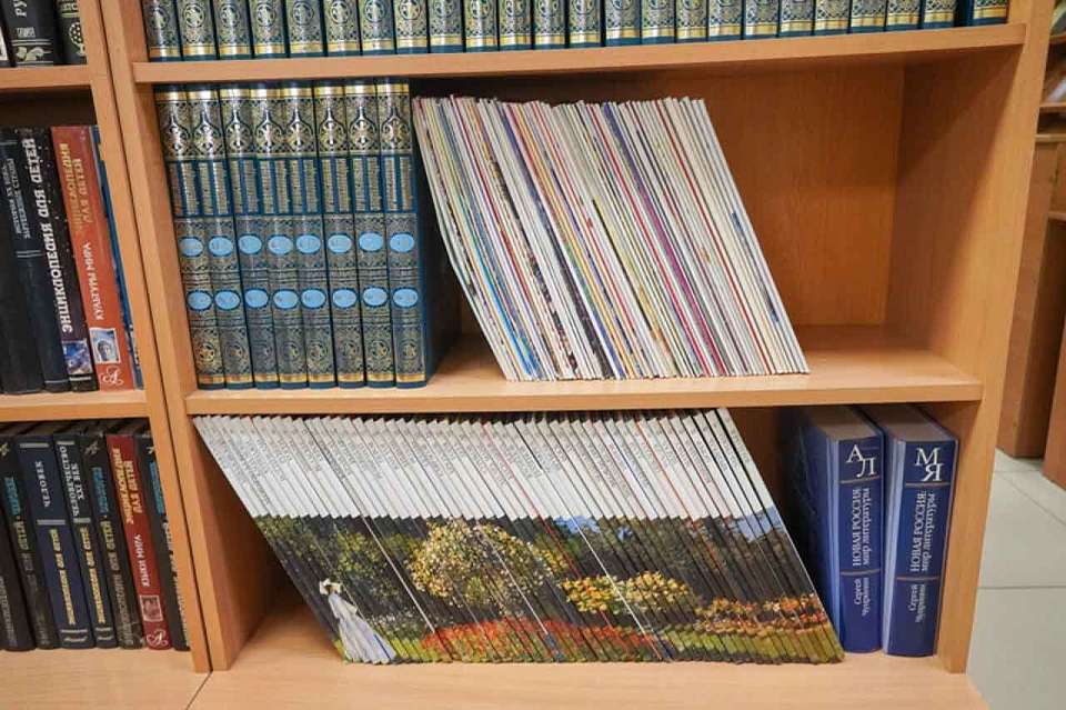 Почти за 2 млн рублей продают домашнюю библиотеку в Воронеже