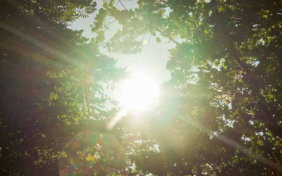 После жары значительное похолодание придет на рабочей неделе в Воронежскую область