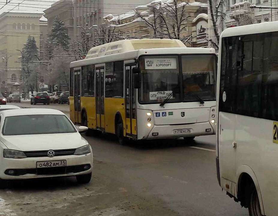 Над воронежским транспортом усилят контроль