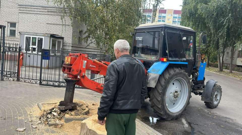 В Ленинском районе готовят места для компенсационного озеленения 