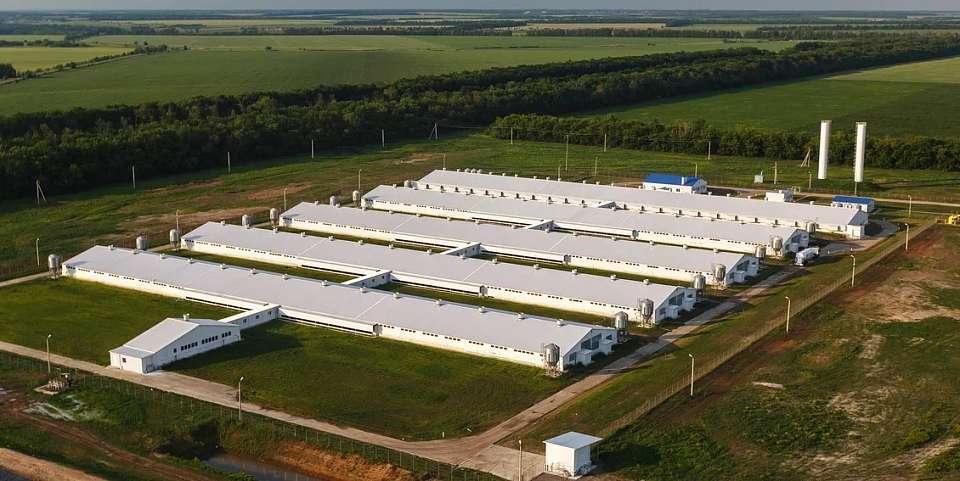 Новый участник вошел в совет директоров воронежской ГК «Агроэко»