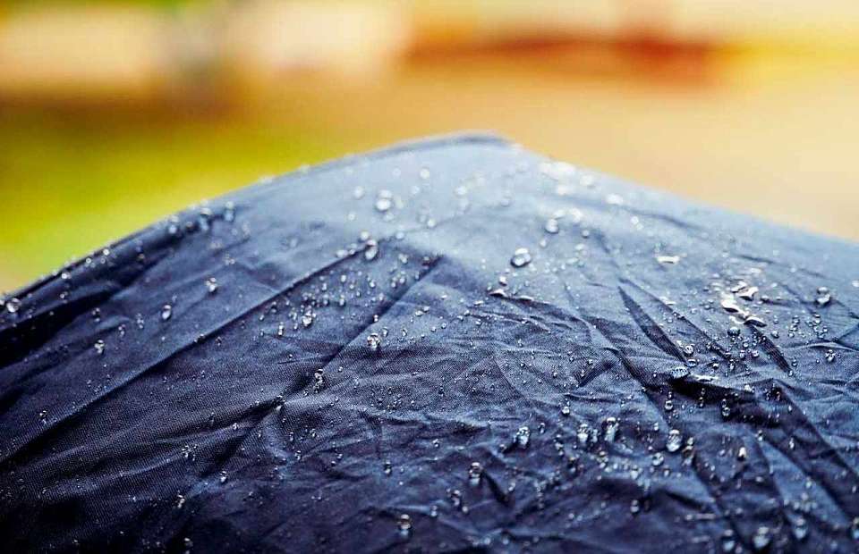 Теплая и дождливая погода ожидается в первые выходные октября в Воронежской области