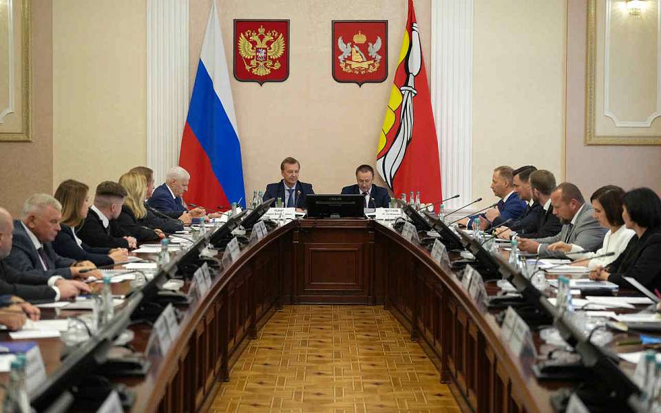 Первый вице-спикер Совета Федерации выразил поддержку проектам развития Воронежской области