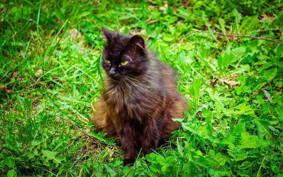 Похолодает до +9 градусов в конце недели в Воронежской области