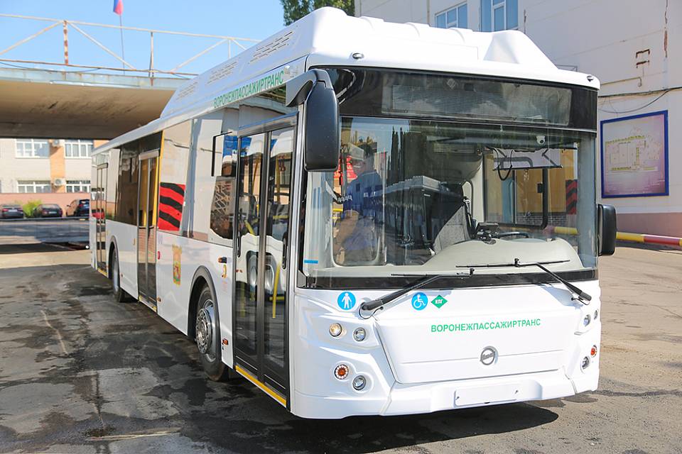 Новые автобусы с кондиционерами выйдут на воронежские маршруты в середине августа