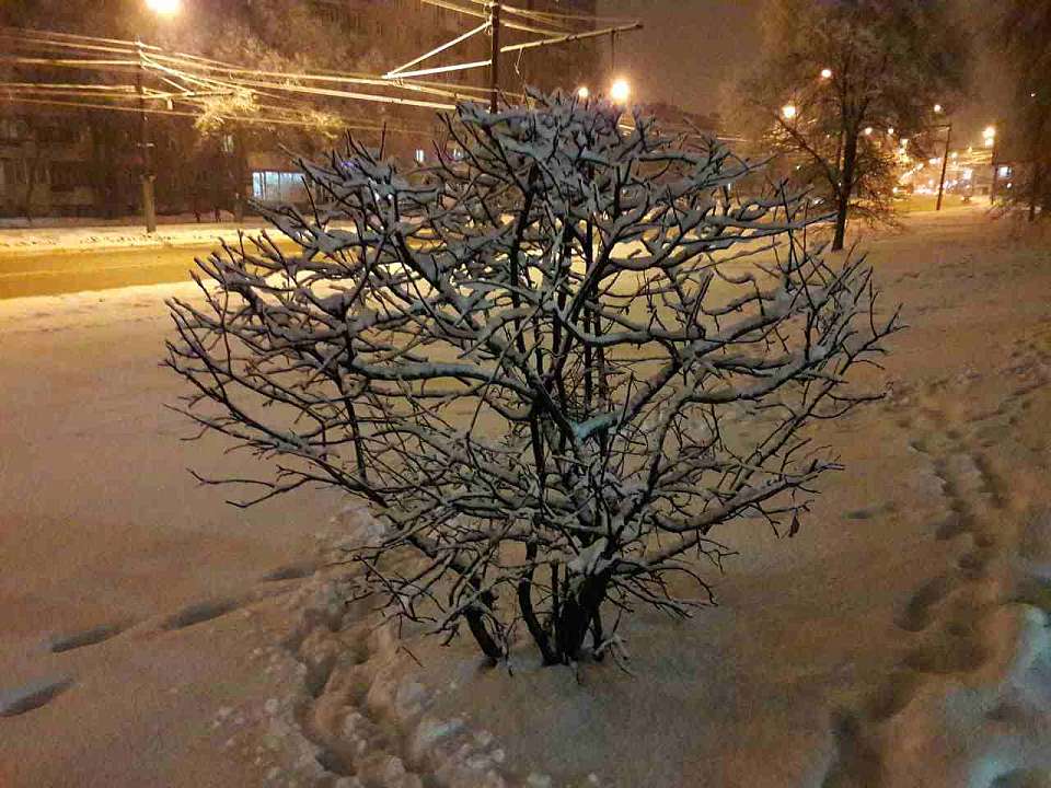 Очередное потепление придёт в Воронежскую область после сильных морозов