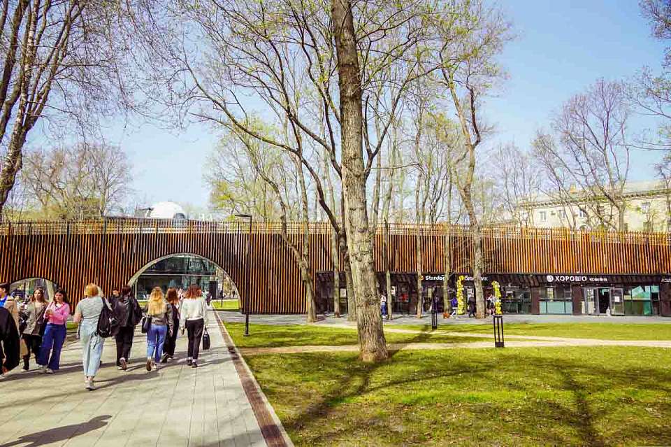 Весеннее тепло и солнце ждут воронежцев в субботу, 14 марта