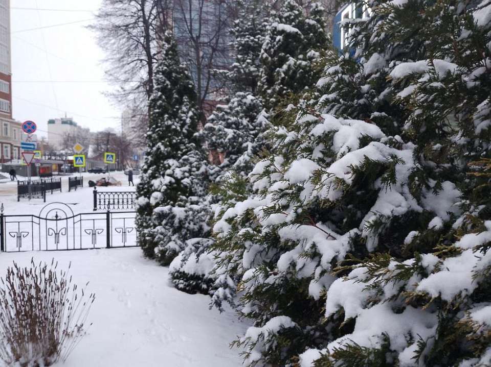 Синоптики предупредили воронежцев о мокром снеге и гололёде 7 января