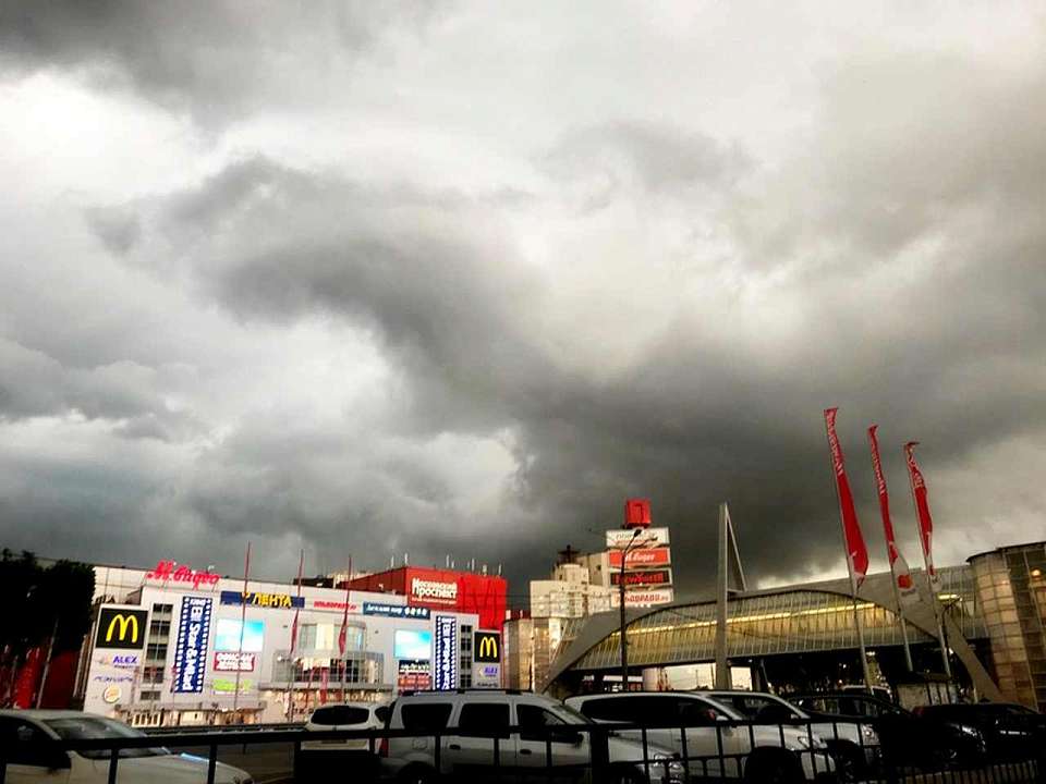 Воронежцев предупредили об опасном ветре днем 4 октября