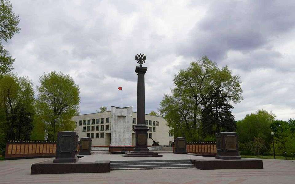 Девять воронежцев за участие в СВО стали Героями России