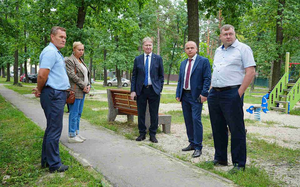 Вопросы уличного освещения в Сомово взял на контроль спикер Воронежской гордумы