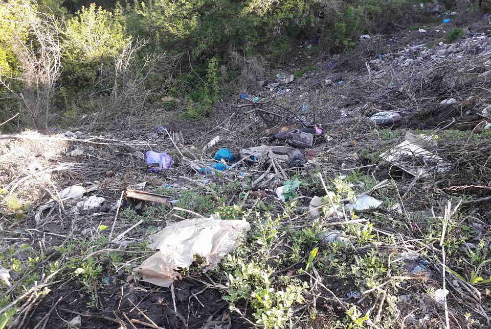 Ликвидация свалок под Воронежем обойдётся в 139 млн рублей