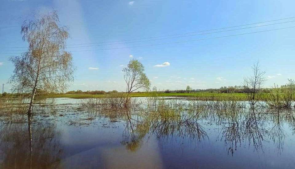 Из-за паводка в Воронежской области оказался подтоплен мост