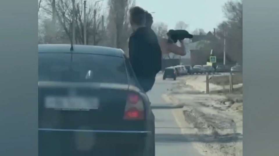 Воронежский водитель оштрафован за непристойное поведение пассажиров в автомобиле