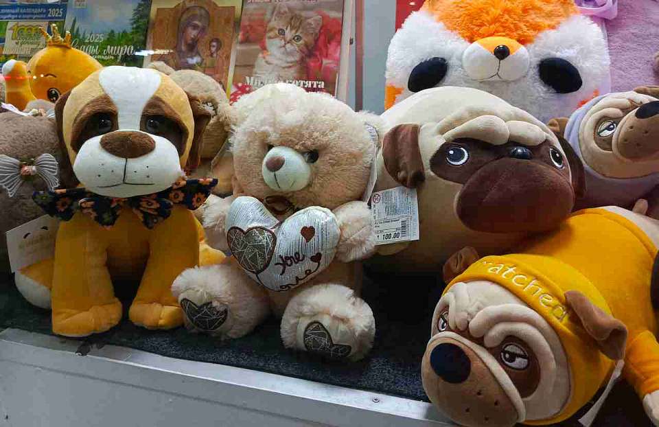 Воронежская область планирует активно развивать производство товаров для детей