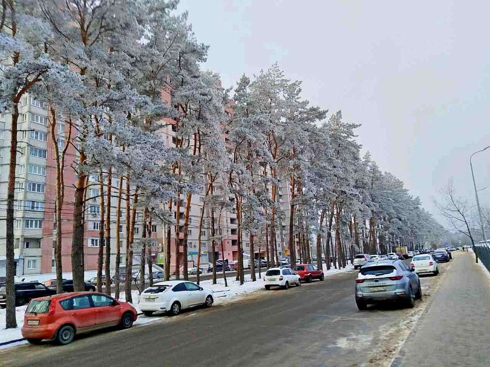 Воронежские синоптики предупредили о возвращении крепких морозов